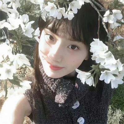 美人记·昭君